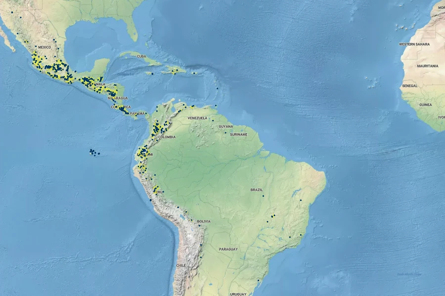 Desmodium intortum Native Range