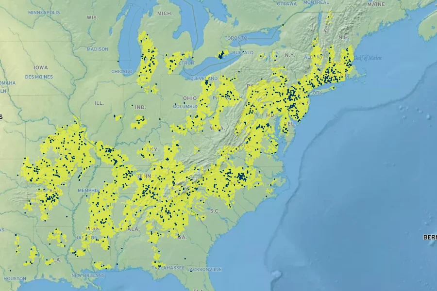 Desmodium rotundifolium Native Range