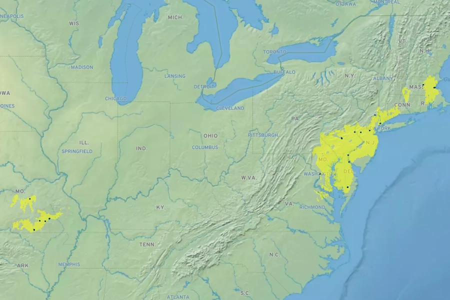 Desmodium ×humifusum Native Range