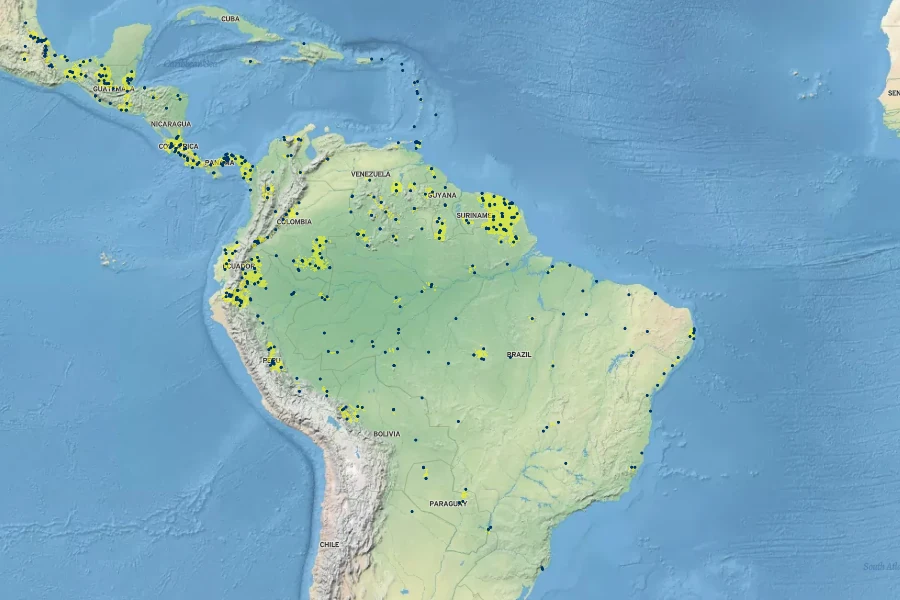 Dianthera pectoralis Native Range