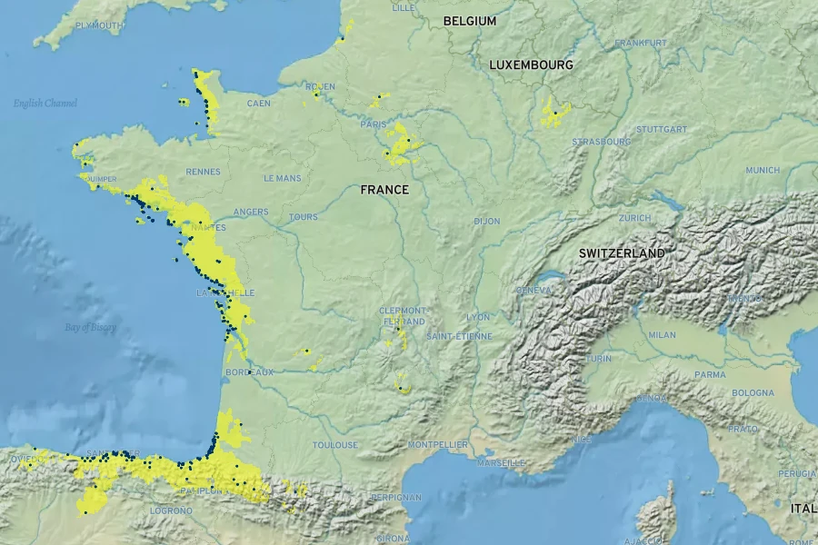 Dianthus gallicus Native Range
