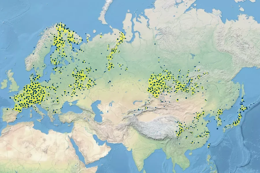 Dianthus superbus Native Range