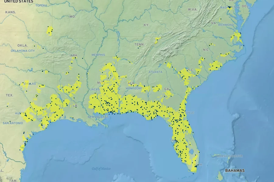 Dichanthelium aciculare Native Range