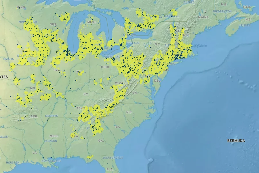 Dichanthelium latifolium Native Range