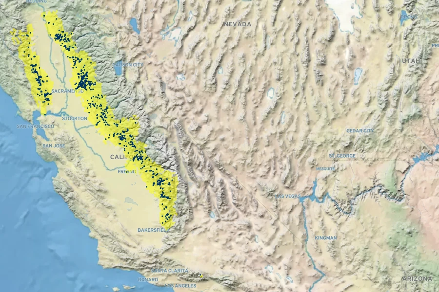 Dichelostemma volubile Native Range