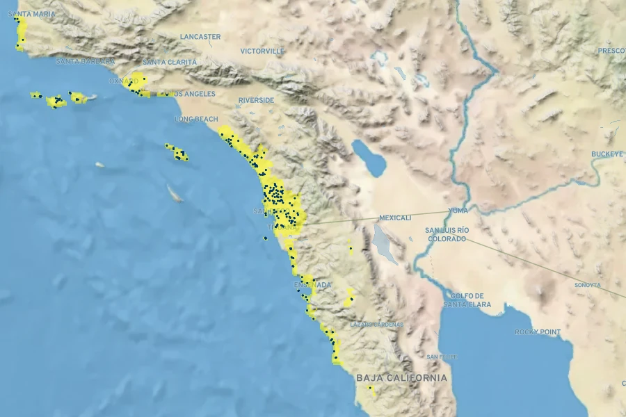 Dichondra occidentalis Native Range