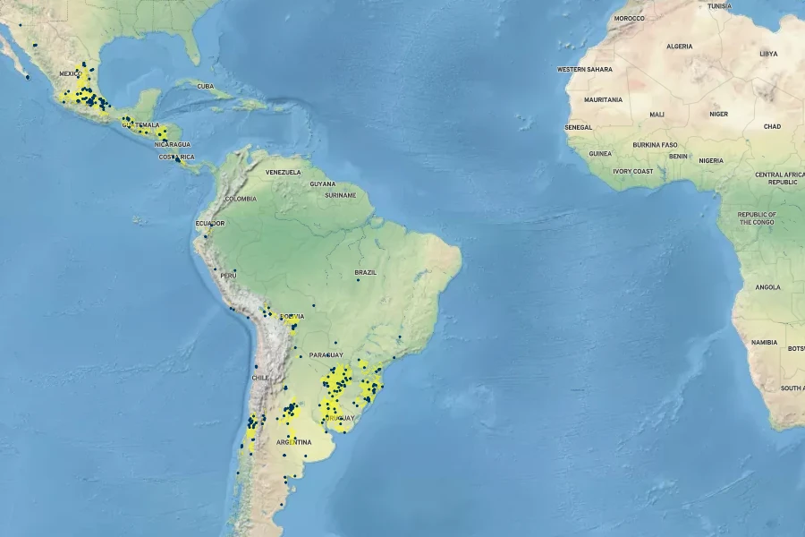 Dichondra sericea Native Range