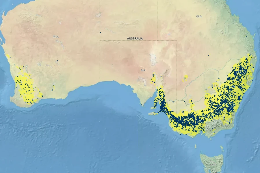 Dichopogon fimbriatus Native Range