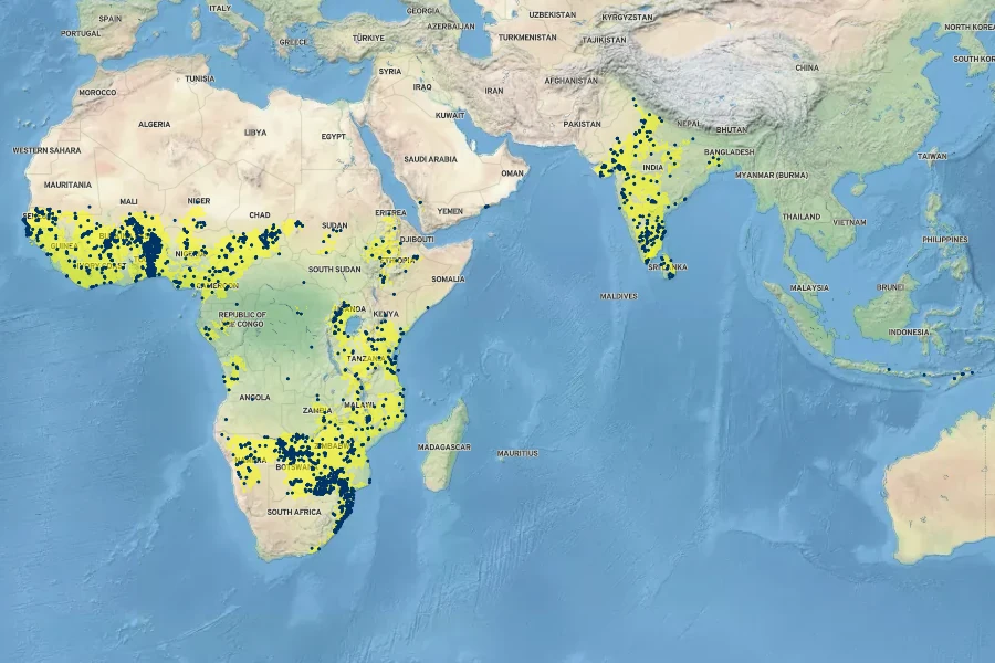 Dichrostachys cinerea Native Range