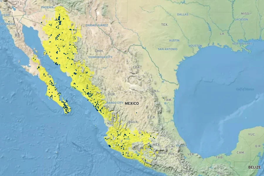 Dicliptera resupinata Native Range