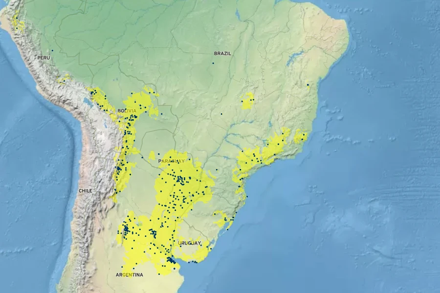 Dicliptera squarrosa Native Range