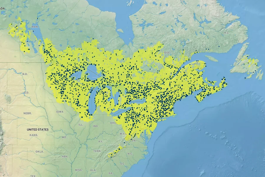 Diervilla lonicera Native Range