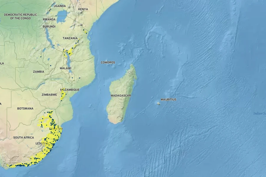 Dietes iridioides Native Range