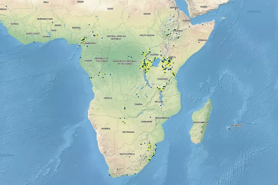 Digitaria abyssinica Native Range