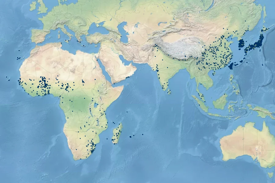 Digitaria ciliaris Native Range