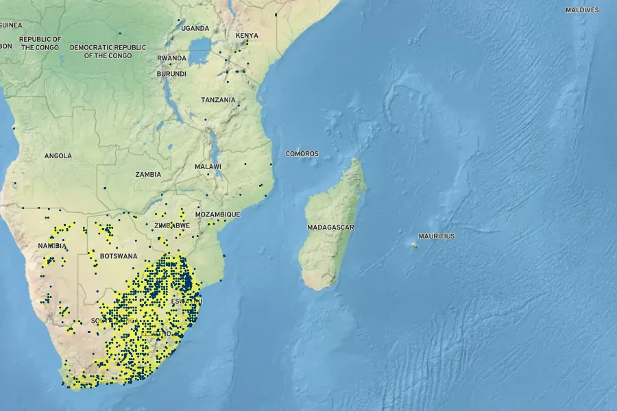 Digitaria eriantha Native Range