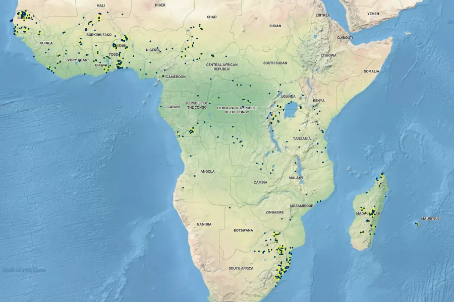 Digitaria longiflora Native Range