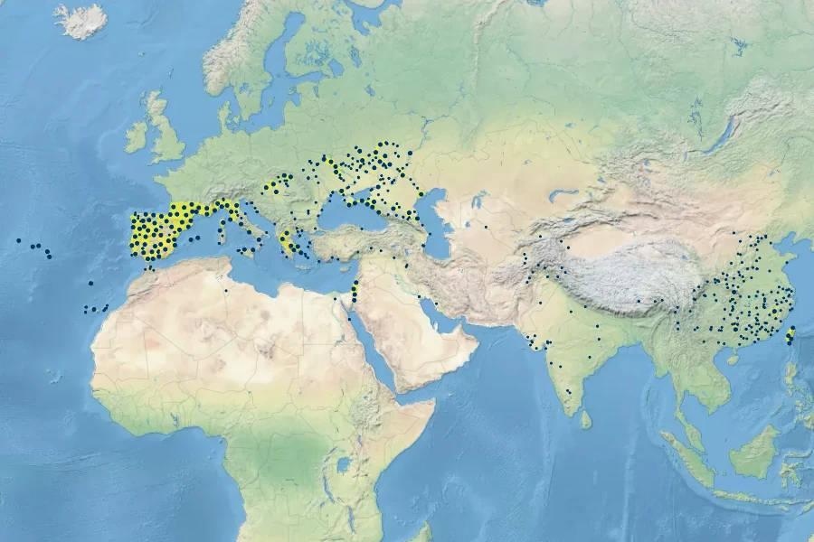Digitaria sanguinalis Native Range