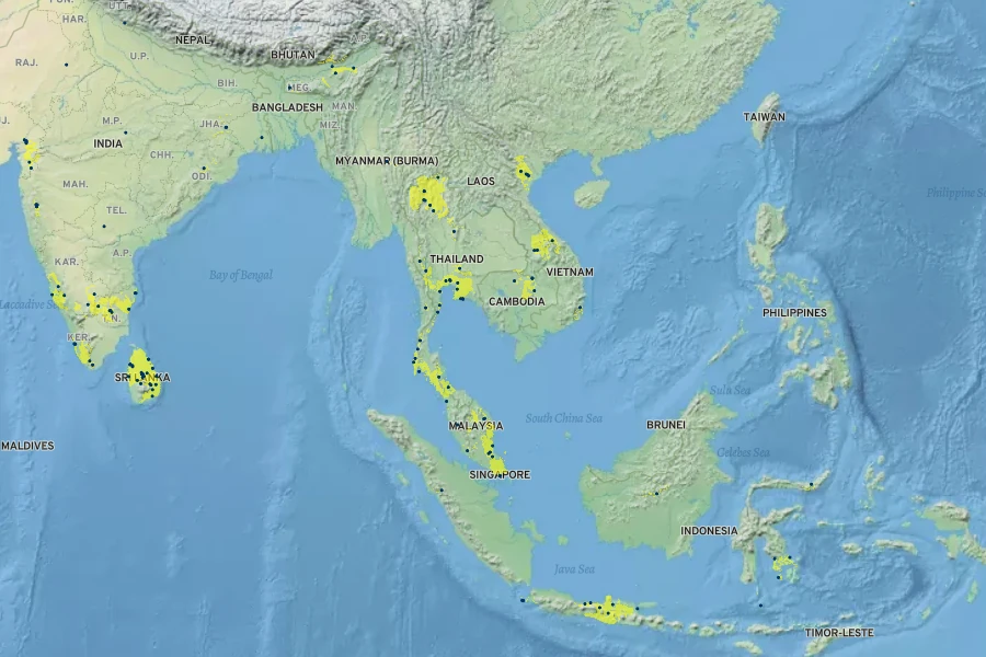 Diospyros malabarica Native Range