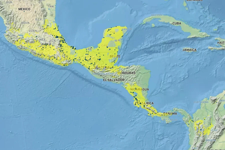 Diospyros nigra Native Range