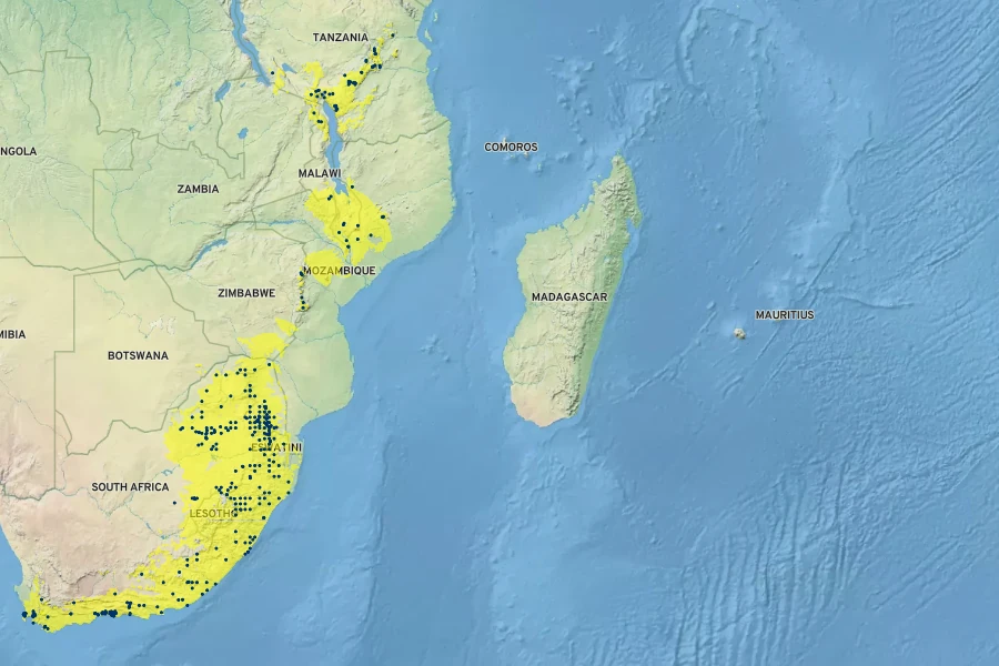 Diospyros whyteana Native Range
