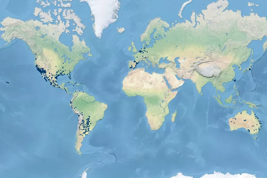Diplachne fusca subsp. uninervia Native Range