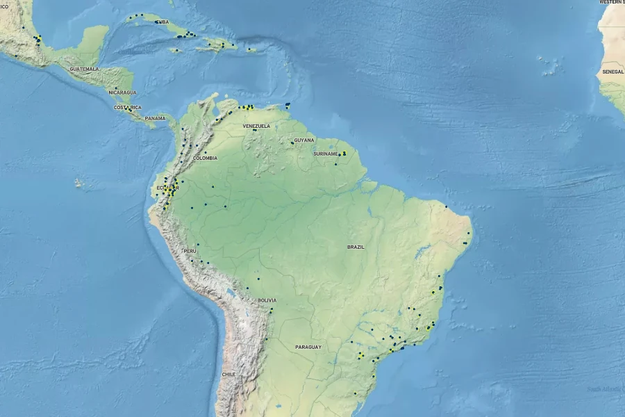 Diplazium expansum Native Range