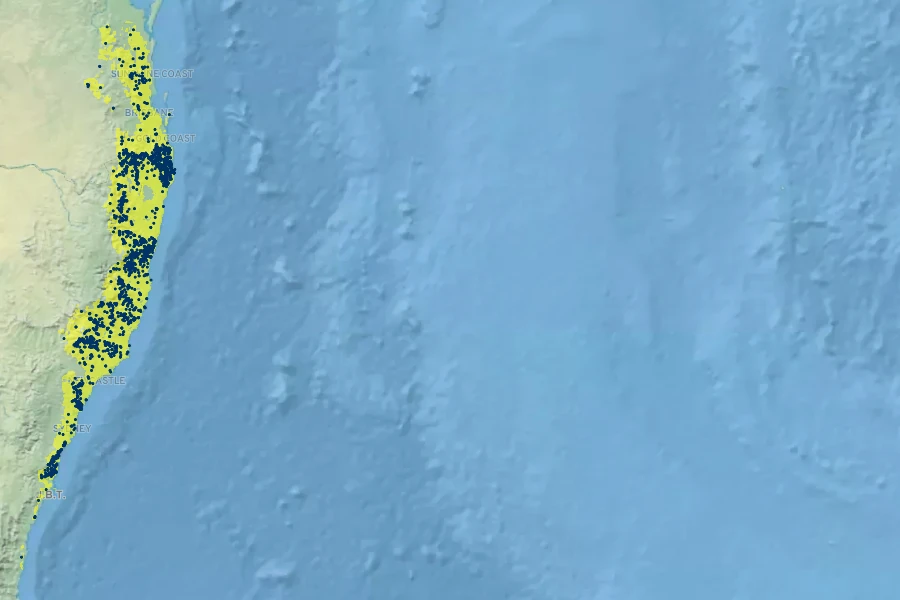 Diploglottis cunninghamii Native Range