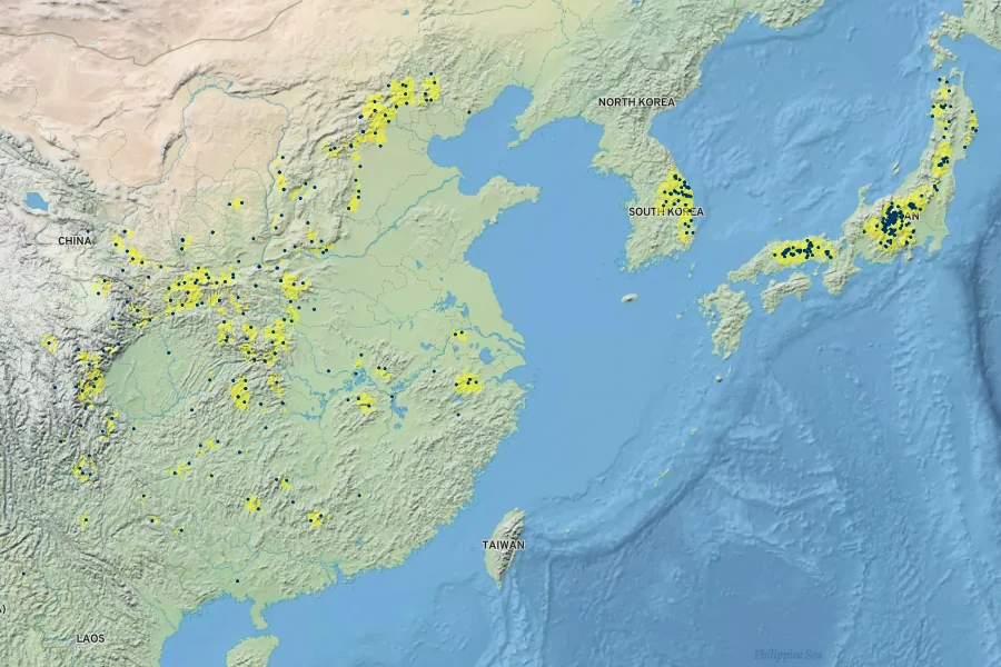 Dipsacus japonicus Native Range