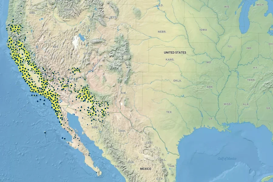 Dipterostemon capitatus Native Range