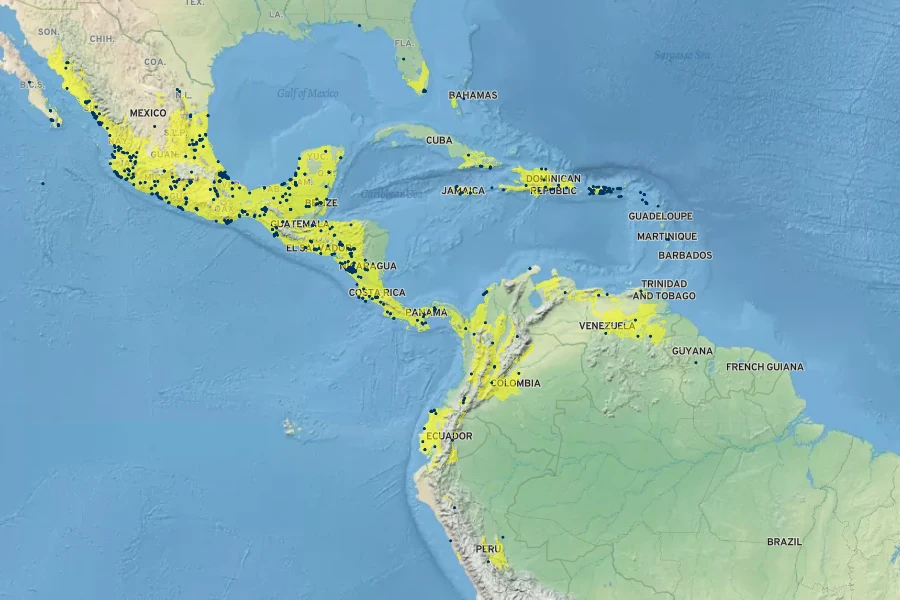 Distimake quinquefolius Native Range