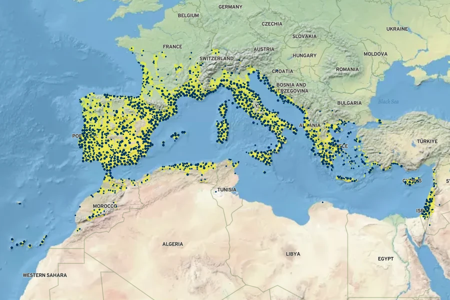 Dittrichia viscosa Native Range