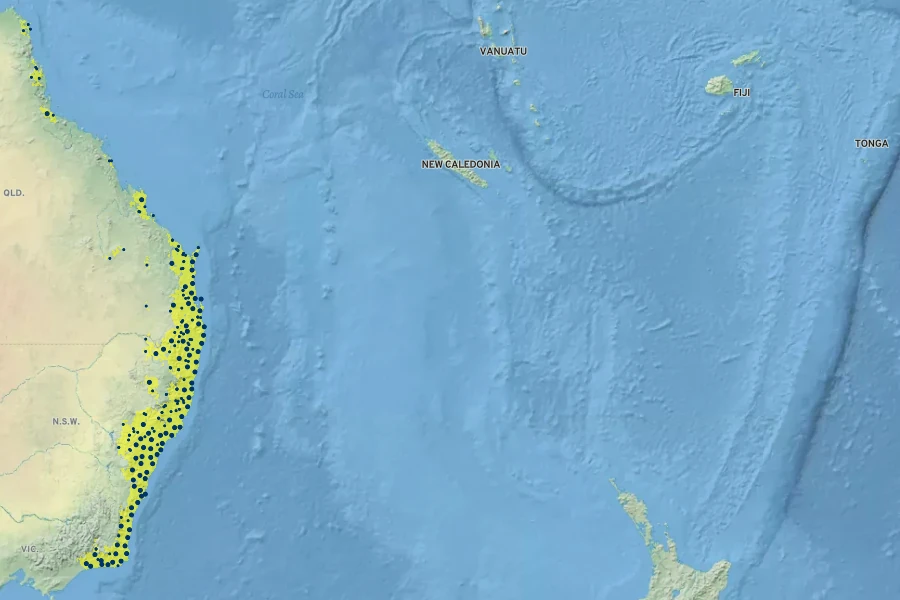 Dodonaea triquetra Native Range