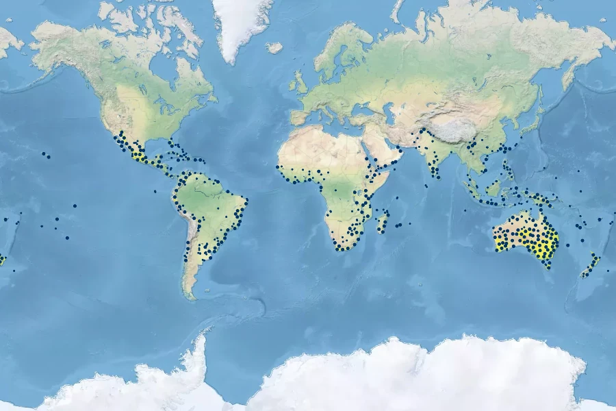 Dodonaea viscosa Native Range