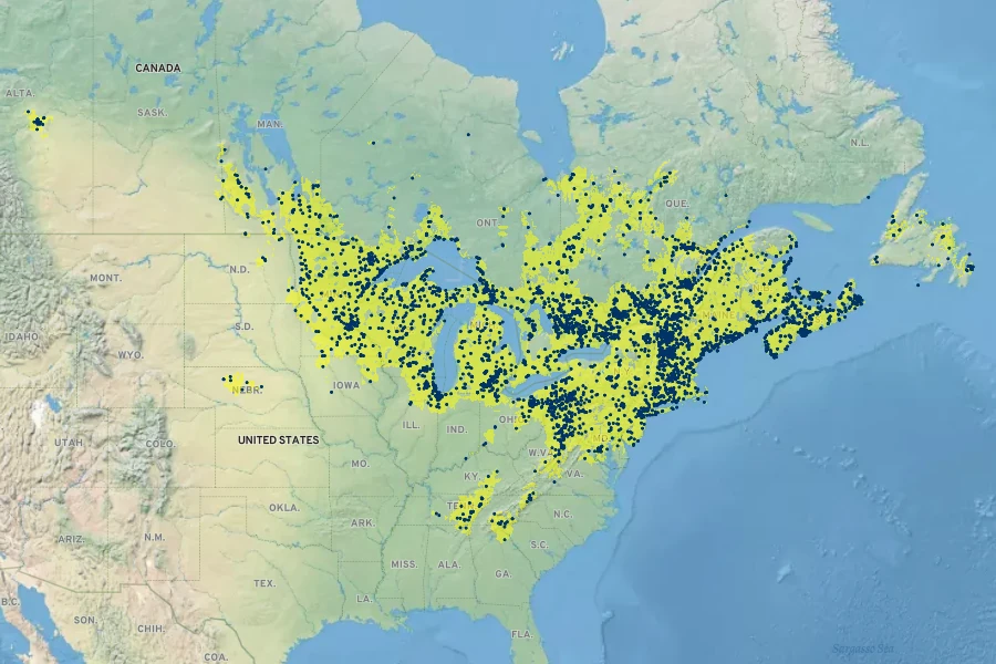Doellingeria umbellata Native Range