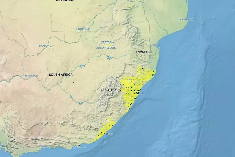 Dombeya tiliacea Native Range