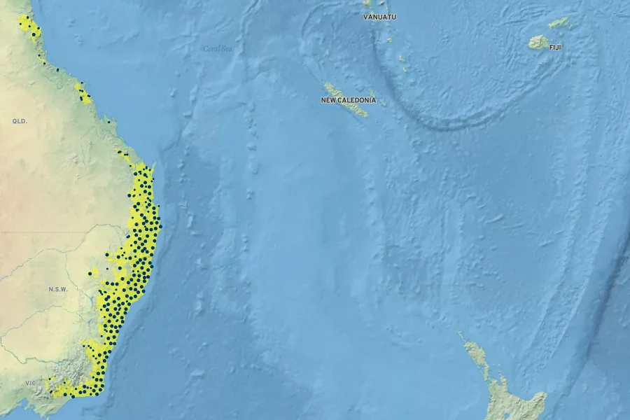 Doodia aspera Native Range