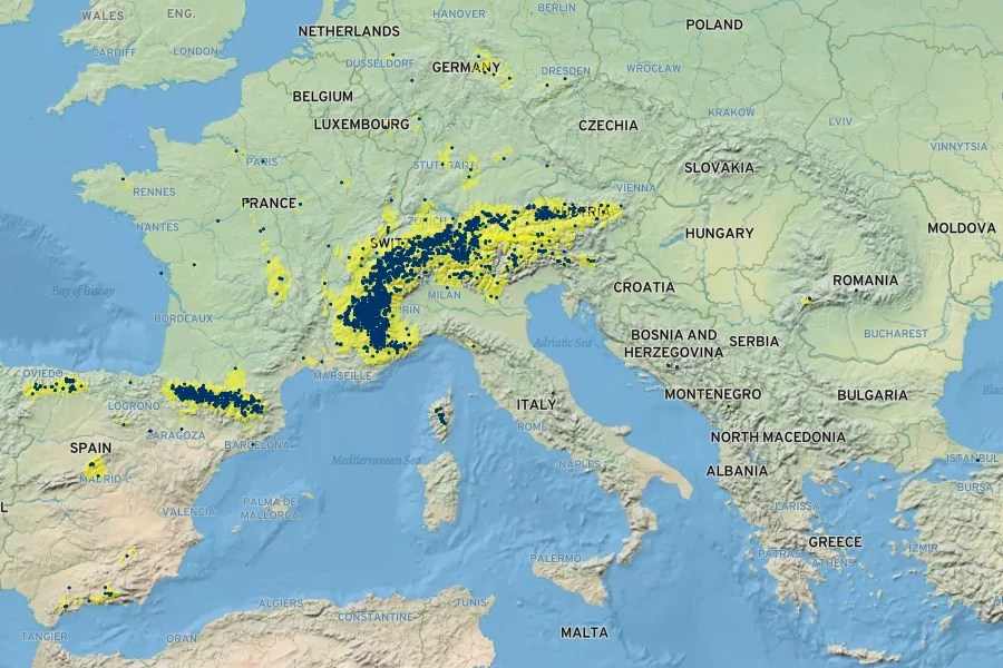 Doronicum grandiflorum Native Range