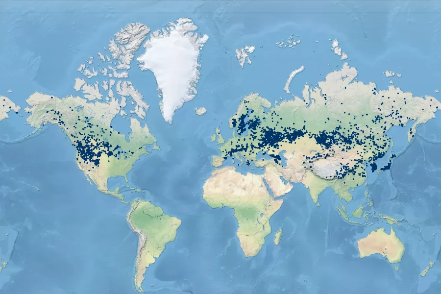 Draba nemorosa Native Range