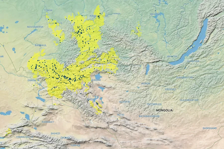 Dracocephalum peregrinum Native Range