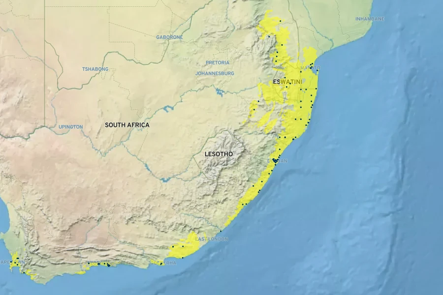 Drimiopsis maculata Native Range
