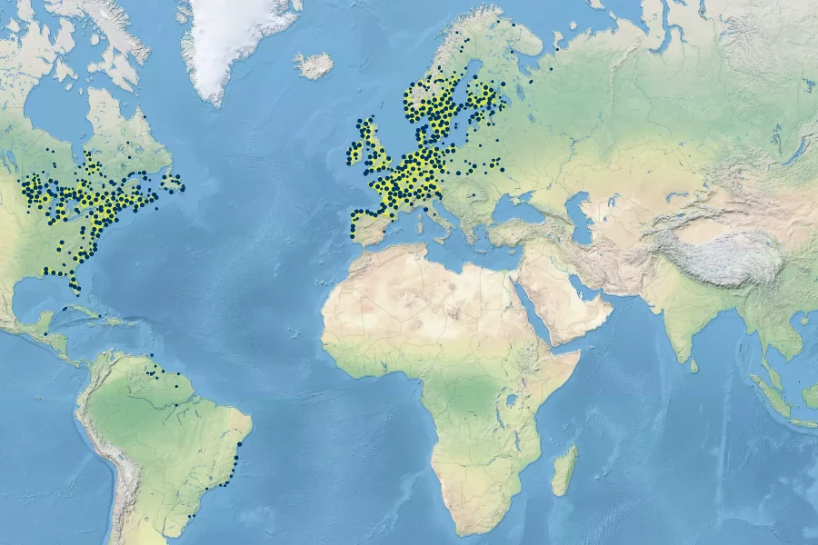 Drosera intermedia Native Range