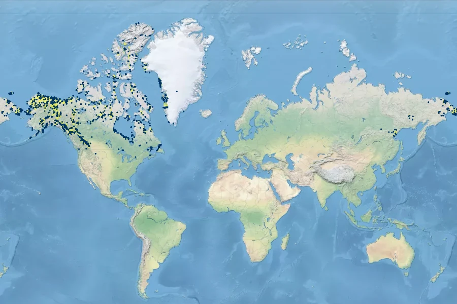 Dryas integrifolia Native Range