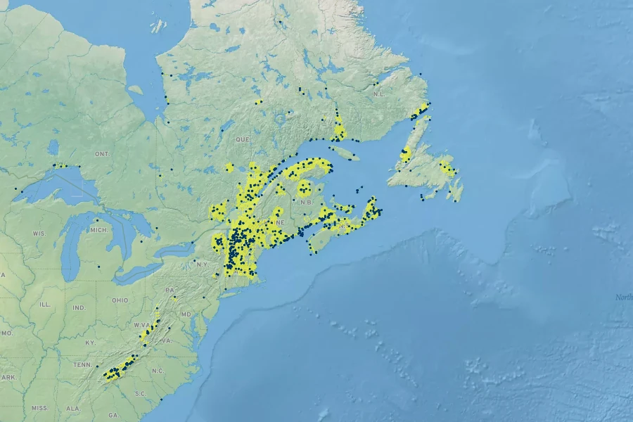 Dryopteris campyloptera Native Range