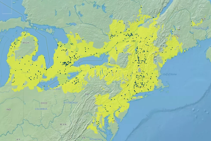 Dryopteris clintoniana Native Range