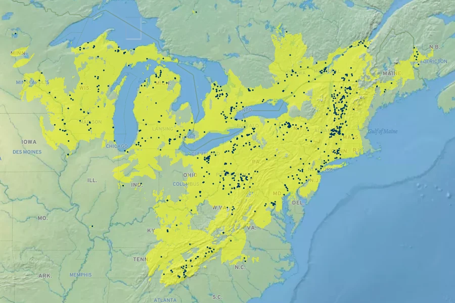 Dryopteris goldieana Native Range
