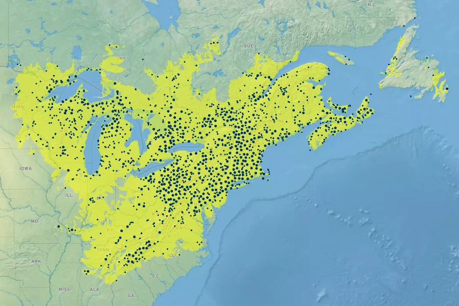 Dryopteris intermedia Native Range
