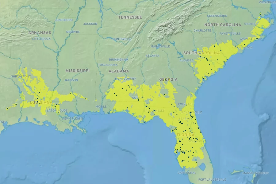 Dryopteris ludoviciana Native Range