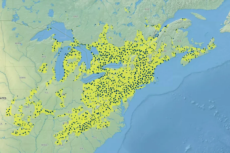 Dryopteris marginalis Native Range
