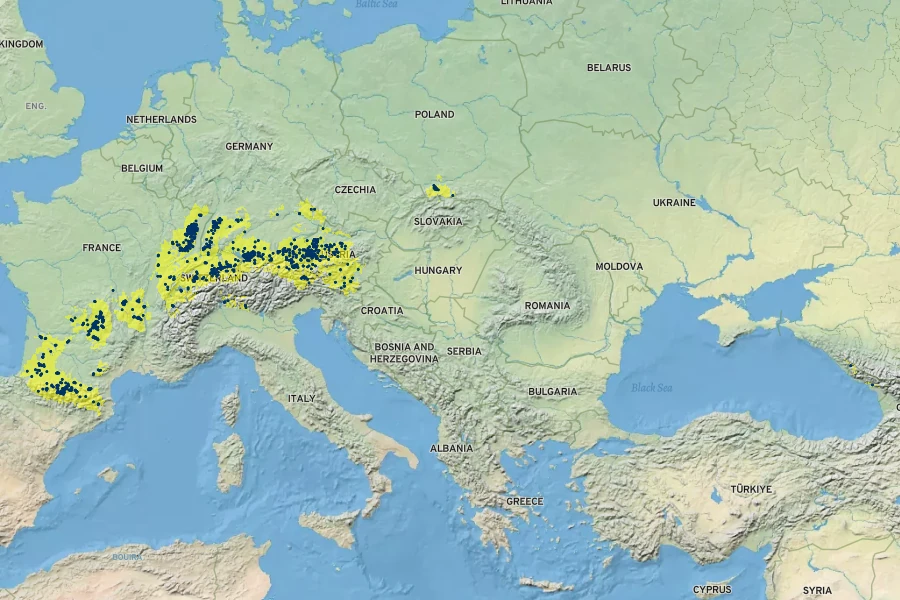 Dryopteris remota Native Range